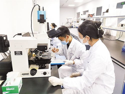 保定高新區技術創業服務中心累計培育高新技術企業225家，信息技術咨詢服務引領創新